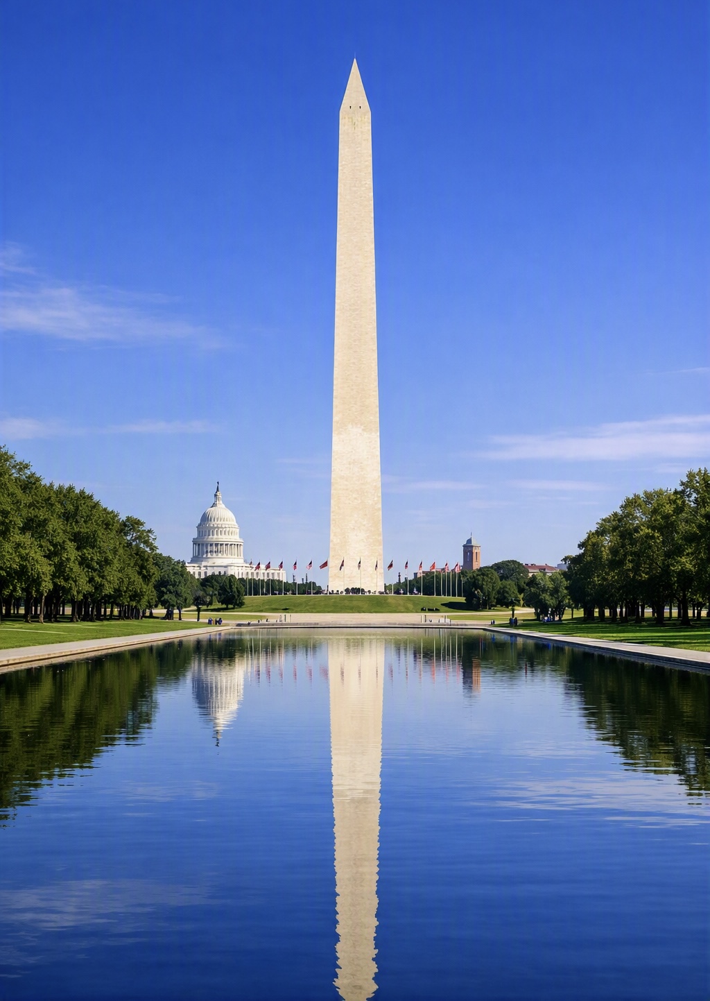 U.S. citizenship and naturalization